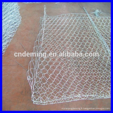 Mesh gabions hexagonaux galvanisés (grande usine et exportateur)